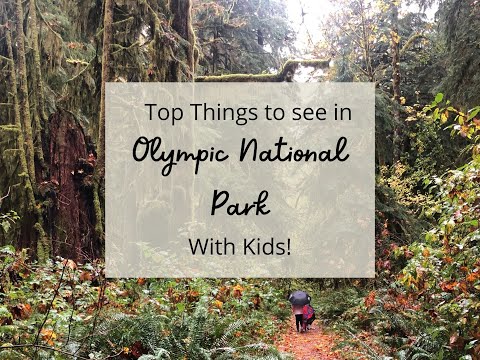 Olympic National Park Family-Friendly