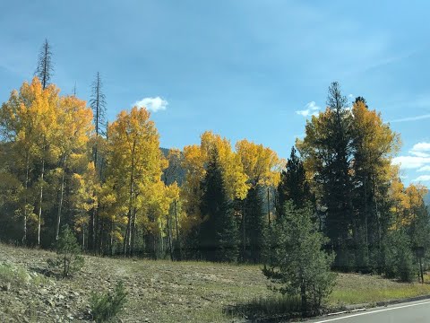 Fall Colors on Trail Ridge Road- Rocky Mountain National Park