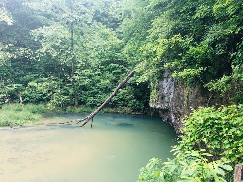 Ha Ha Tonka State Park- Hiking Trails for Families