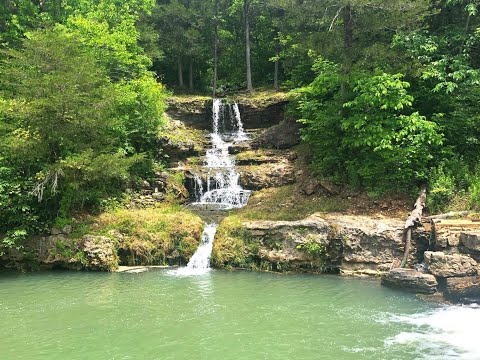 Visit Dogwood Canyon Nature Park- with Kids!