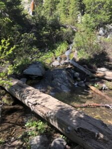 Breckenridge hikes for kids log bridge