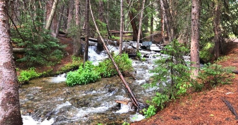 11 Great Easy Kid-Friendly Hikes in Breckenridge, Colorado