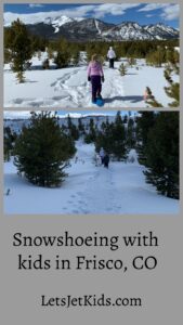 Snowshoeing in Frisco pin