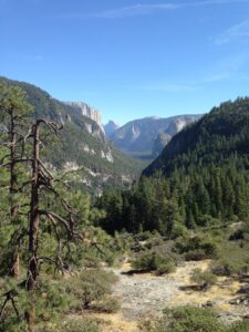 Yosemite with kids view