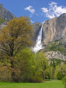 easy hikes in Yosemite