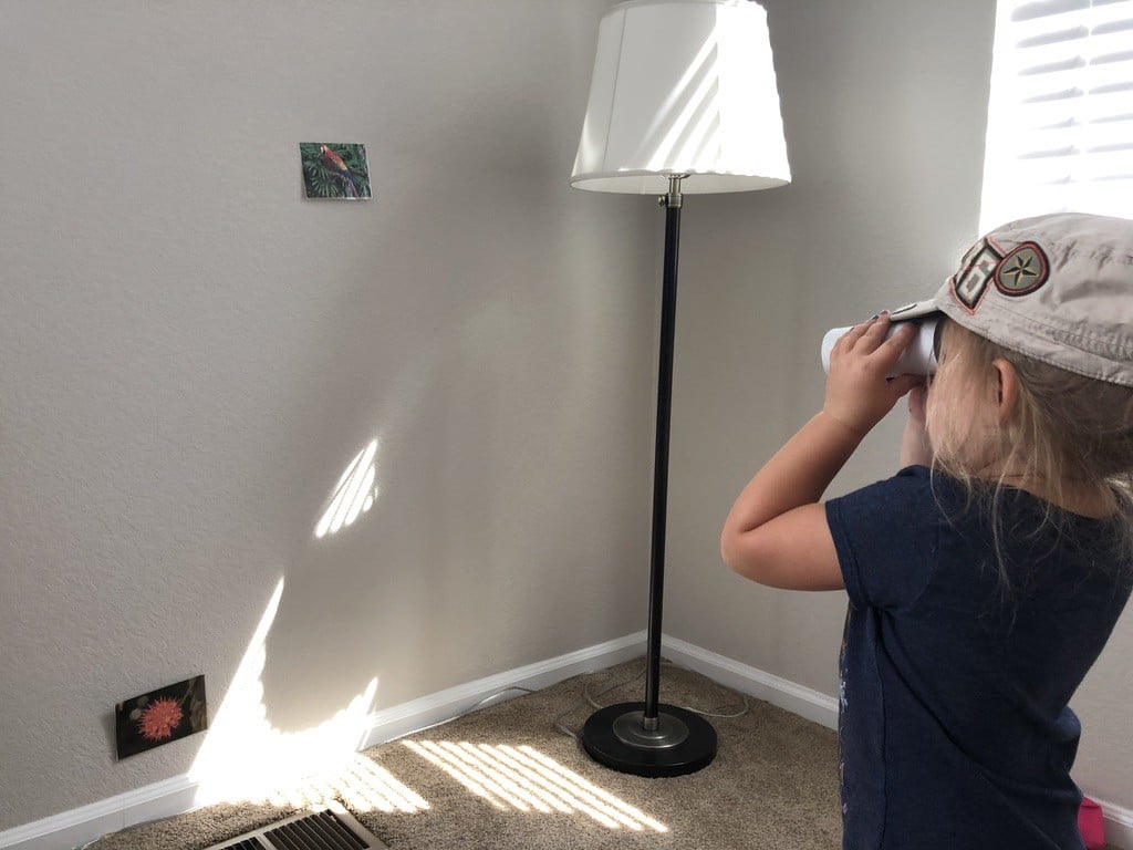 Kid looking through binoculars searching for animal pictures