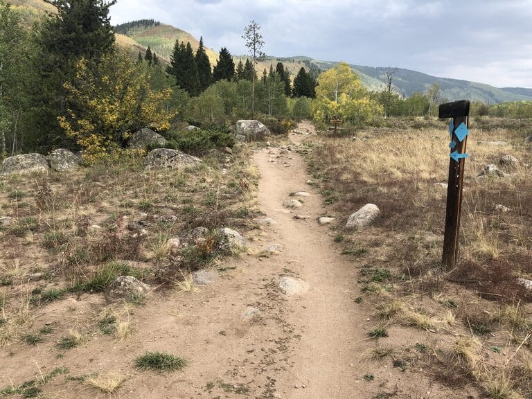 dirt trail in Aspen Colorado