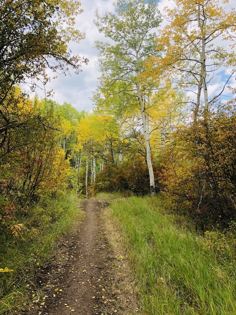 Fun family hikes in Aspen CO fall colors