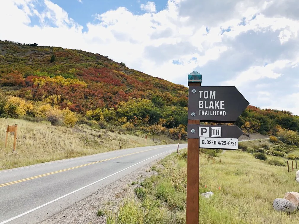 Tom Blake Trail sign with colorful foliage in background, one of the easy hikes in Aspen Colorado