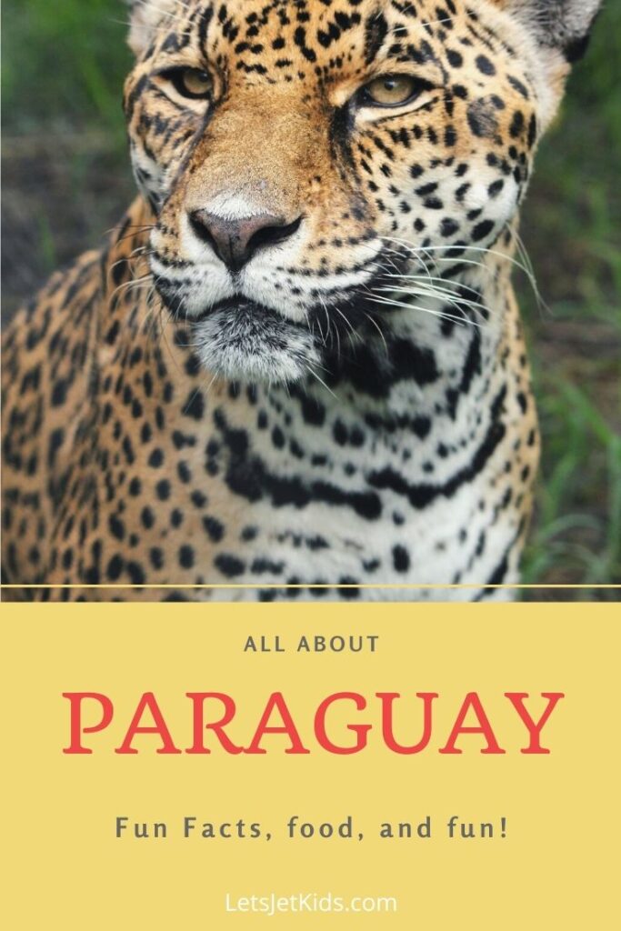 All about Paraguay for kids pin