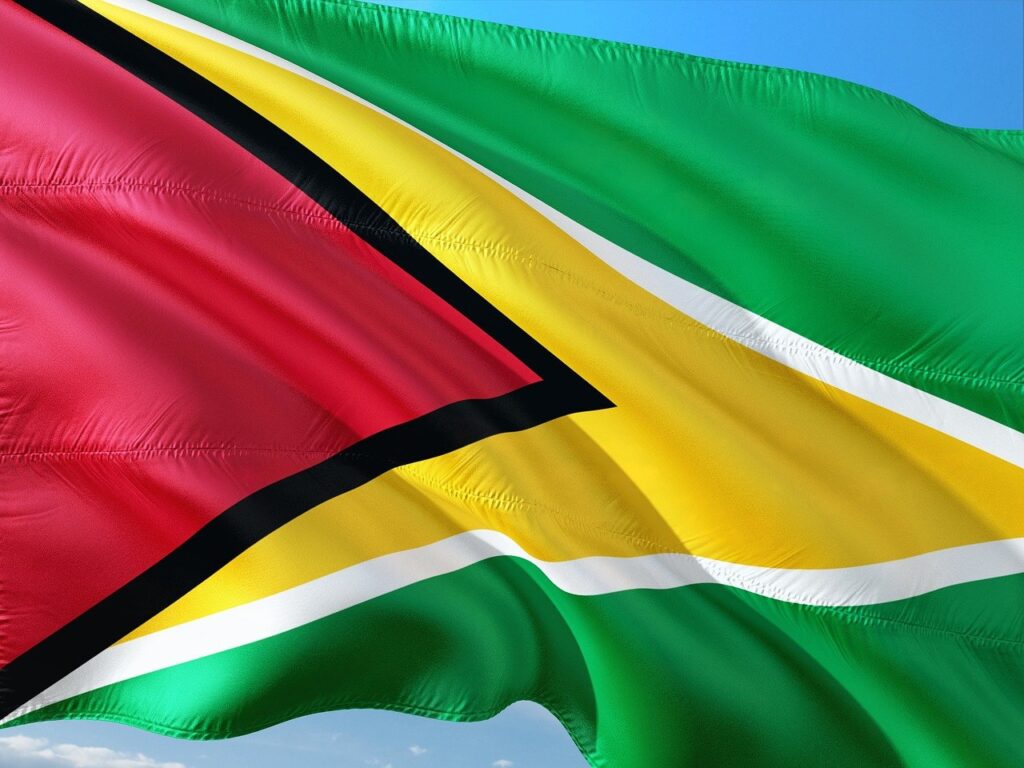 flag of Guyana all about Guyana for kids