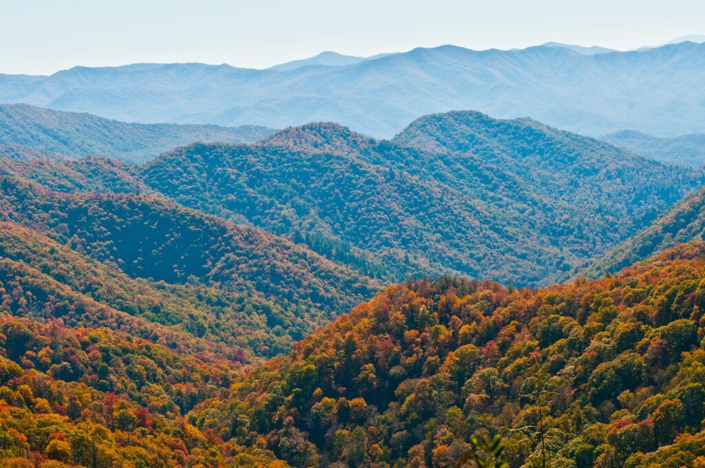 Affordable family vacation in Smokey Mountains