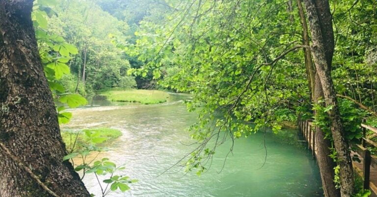 emerald color spring at Ha Ha Tonka State Park with Kids