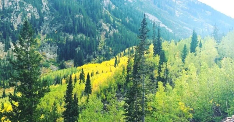 7 Best Places to See Fall Colors in Colorado