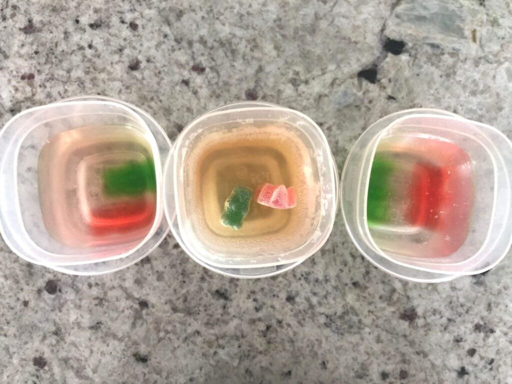 Brown bear brown bear preschool theme science experiment; gummy bears in different liquids