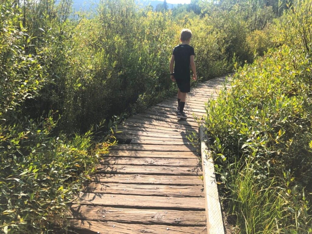 boy walking on boardwalk through meadow