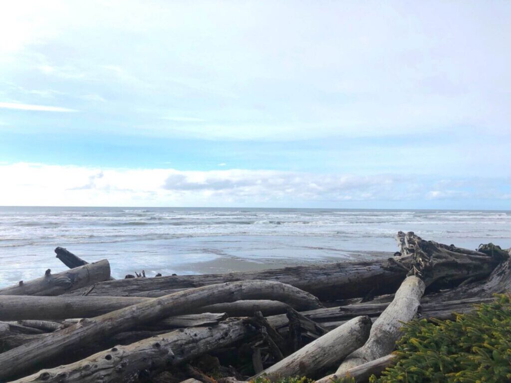 beach 1 driftwood at Olympic National Park 