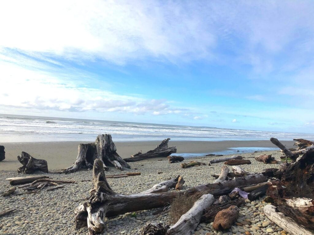 Beach 2, blue sky with some clouds, driftwood in Olympic National Park 