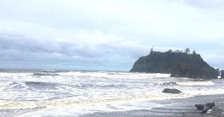 a beach with white waves crashing onto shore in Olympic National Park