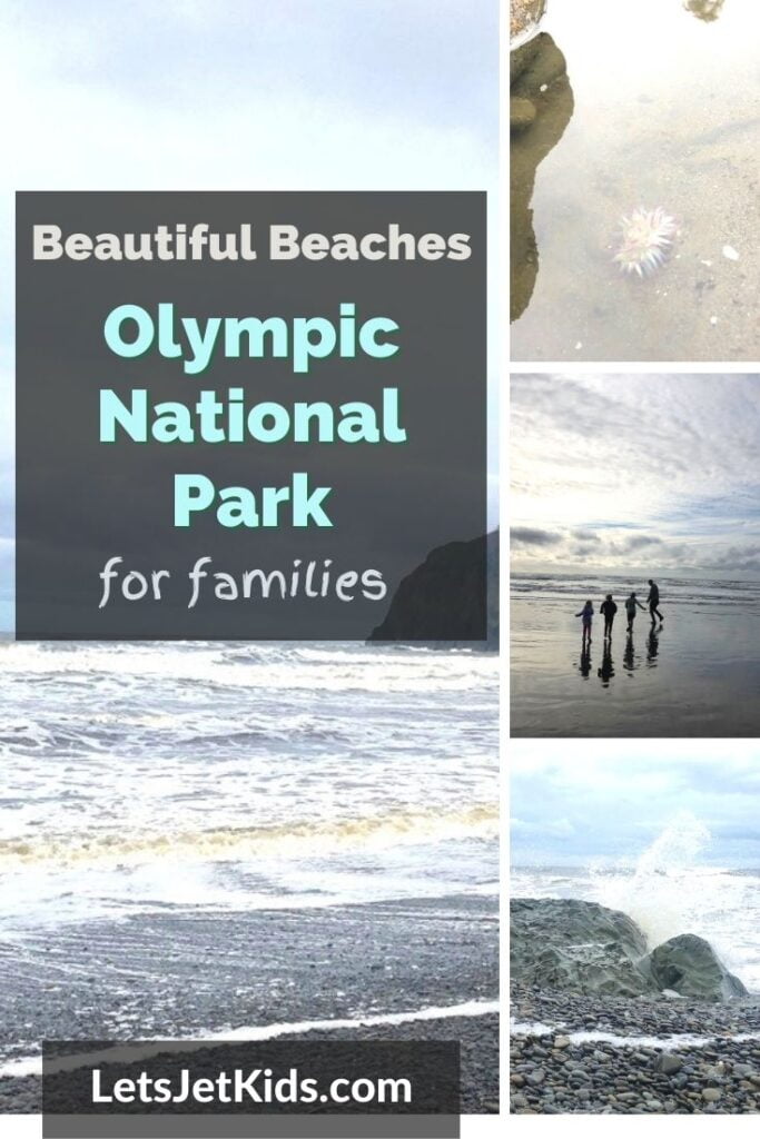 Beaches in Olympic National Park for families pin