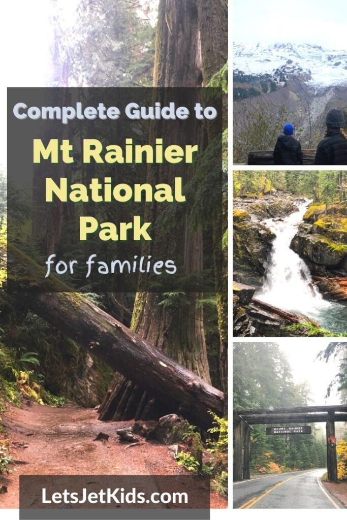 Mt Rainier national park pin