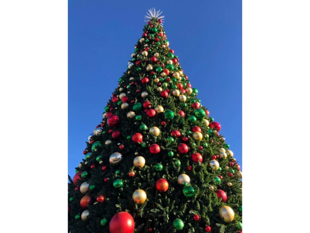 large decorated christmas tree against a pure blue sky