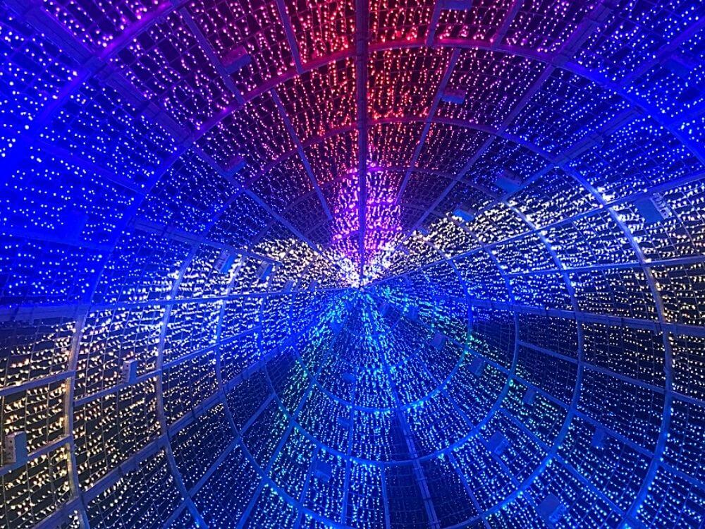 inside the mile high tree looking up, in Denver CO