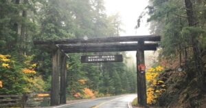 Mount rainier national park entrance, dark wood logs as the sign, green trees with yellow shrubs,