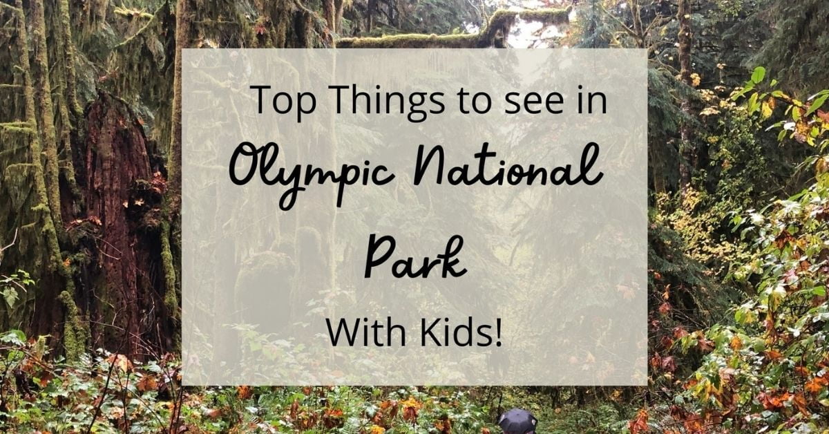 thingsn to do in Olympic national park with kids feature image
