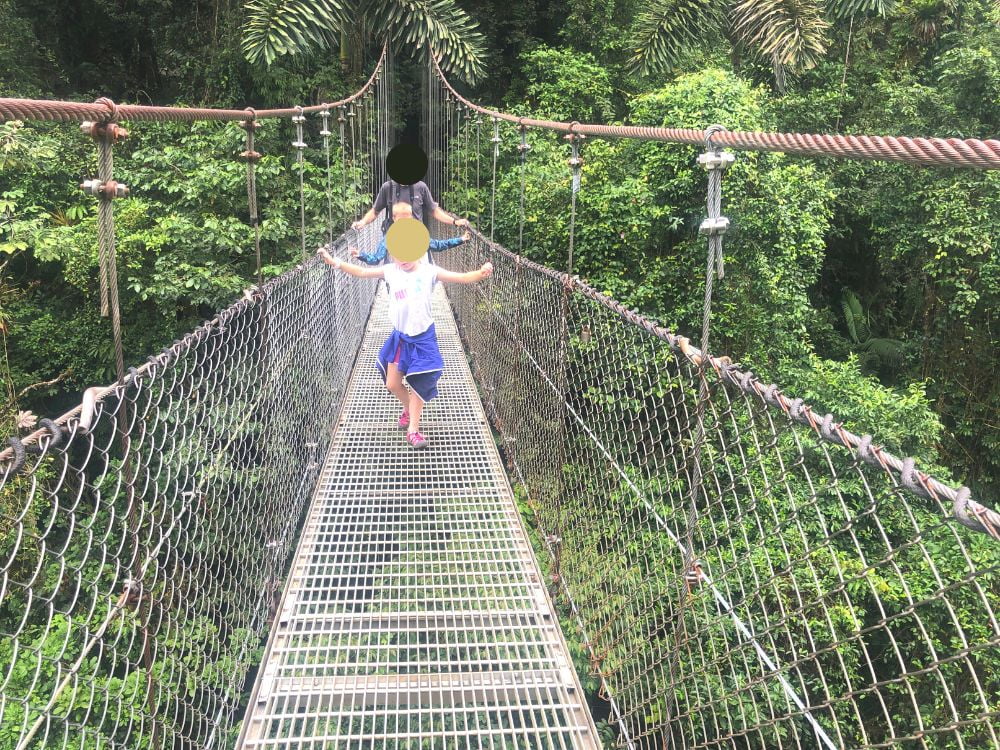 Mistico Hanging Bridges 1