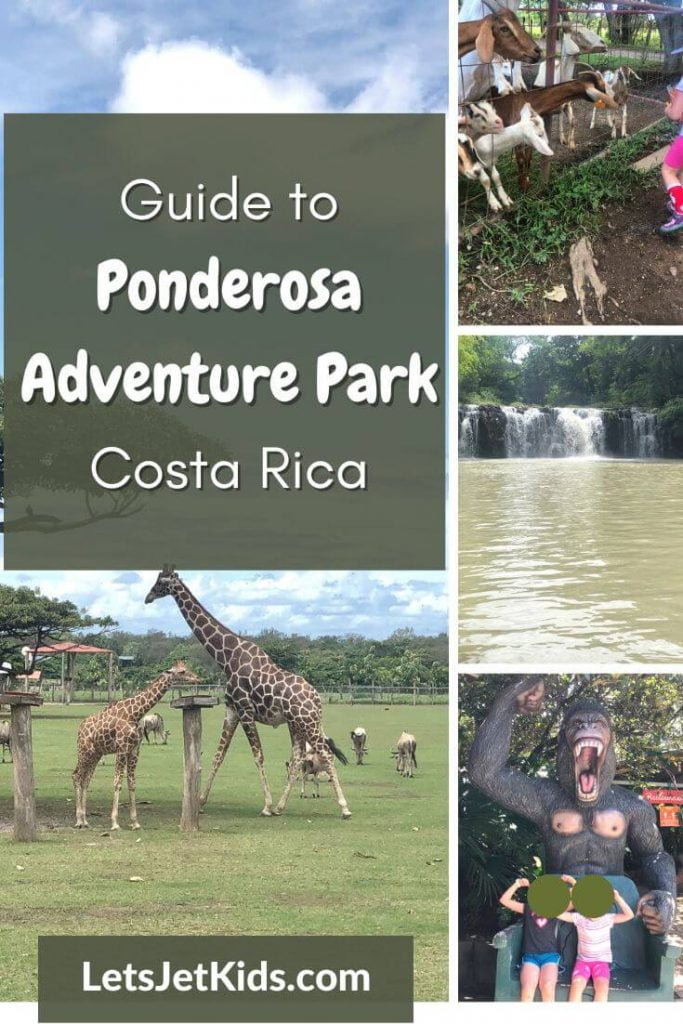 Ponderosa Adventure Park pin 1