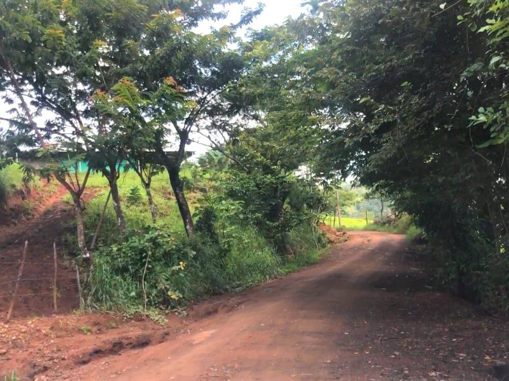 Dirt Road Costa Rica