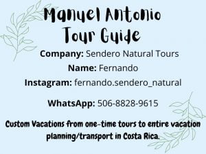 Manuel Antonio Guide