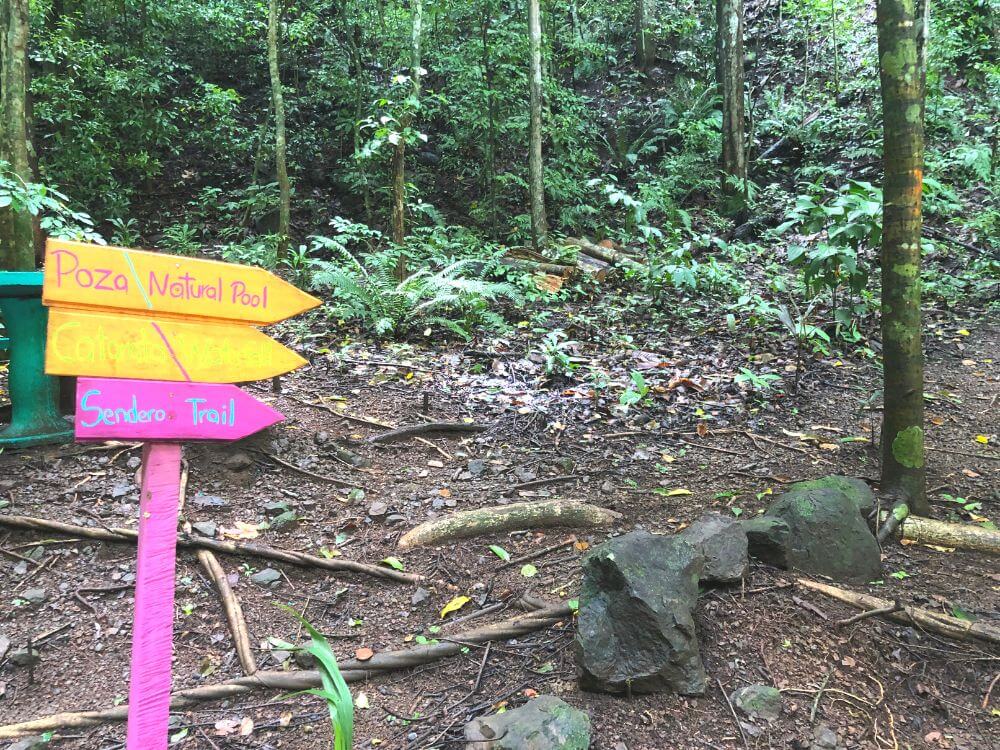 Salto de Gamalotillo yellow and pink trail sign pointing to "Poza Natural Pool", something in yellow that is hard to read against the yellow background, and "Sendero Trail" on the bottom pink arrow sign