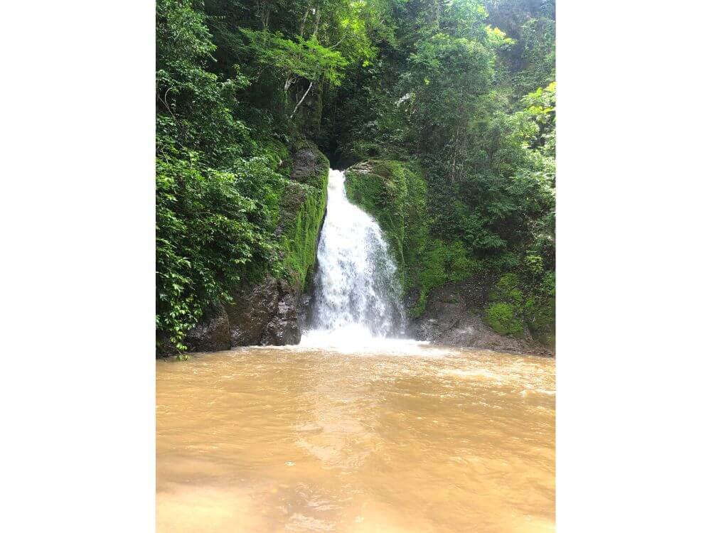 Salto de Gamalotillo waterfall centered with green growth on both sides, brown water pool it falls into