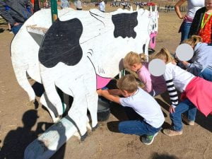Colorado Pumpkin Patch milking a cow