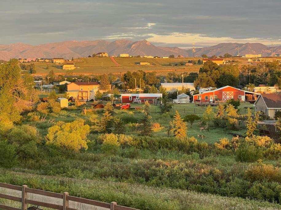 Longneck Pumpkin Farm pumpkin patch Colorado