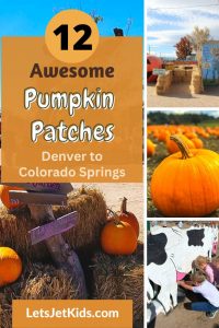 Pumpkin Patches in Colorado Pin 1