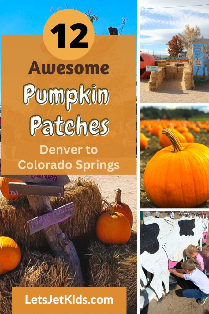 15 Best Pumpkin Patches In Colorado