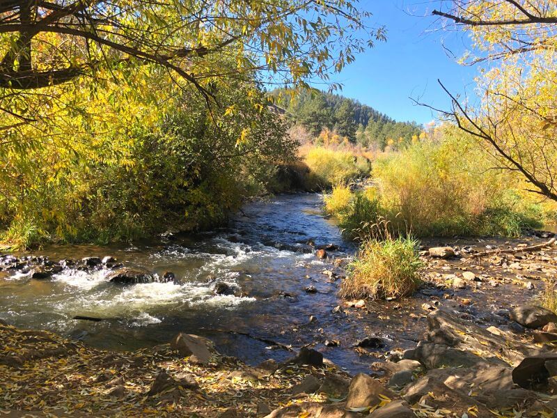 Creek at Lair o the bear