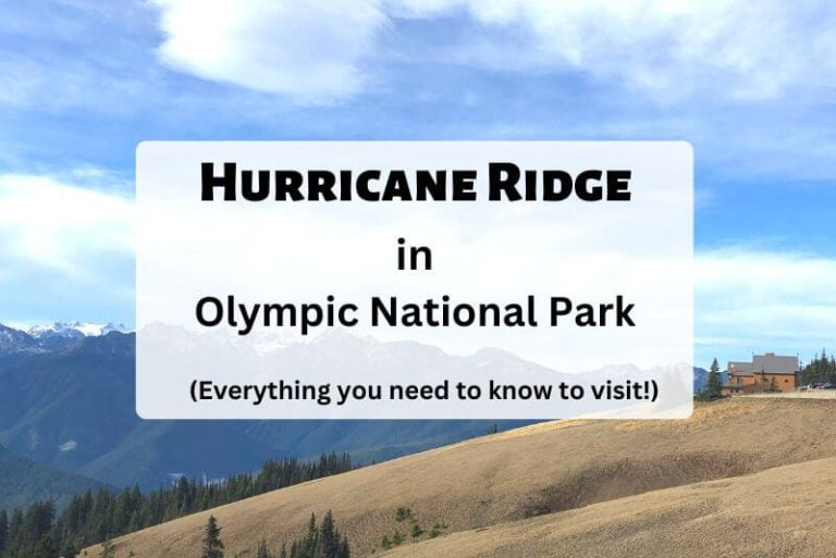Mountains and dry grass in background and text overlay in foreground
