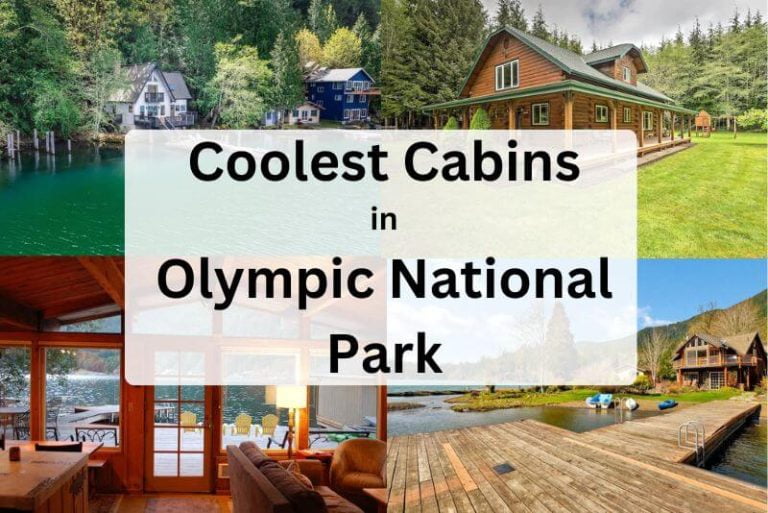 Airport Near Olympic National Park letsjetkids.com