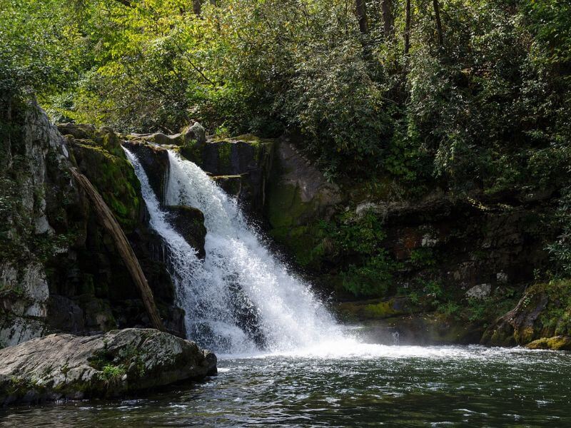 Shorter waterfall in the forest