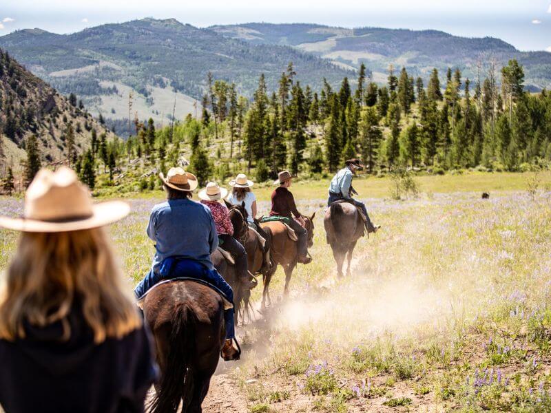 group of people riding single file on horses