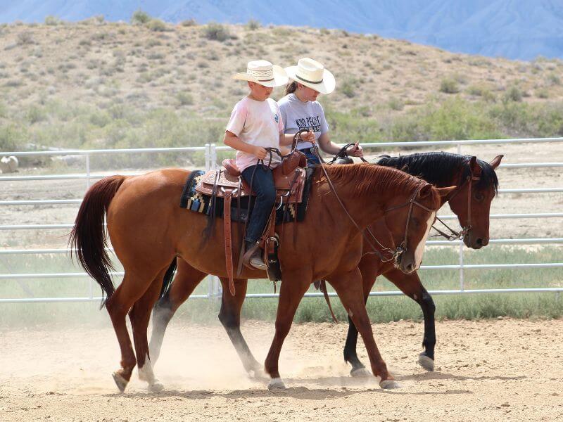 two kids in white cowboy hats each riding a horse