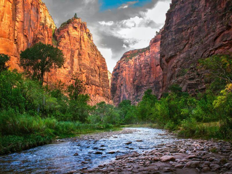 Shad covered river in the tall canyons of Zion National Park