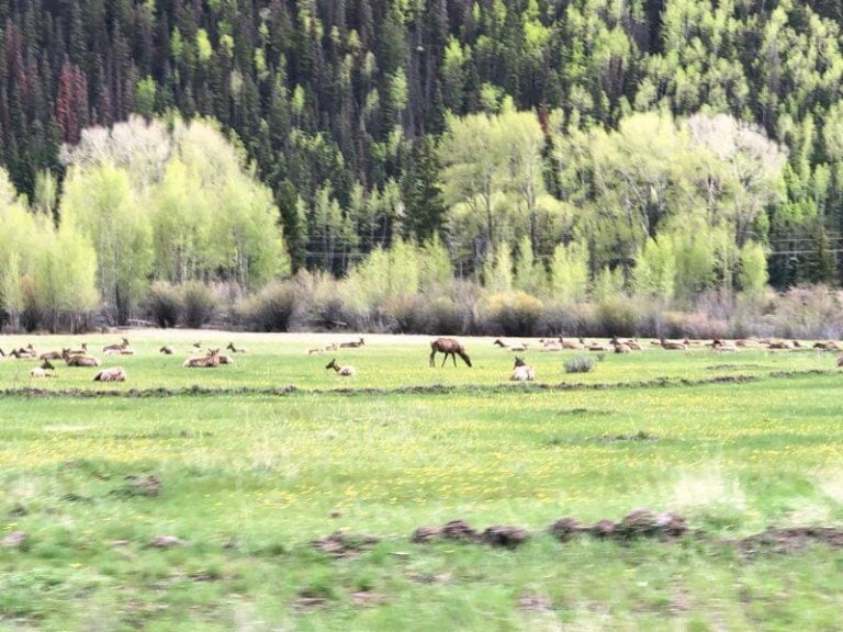 The Drive from Ouray to Telluride