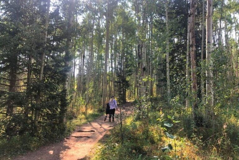 kids walking on a wooded trail
