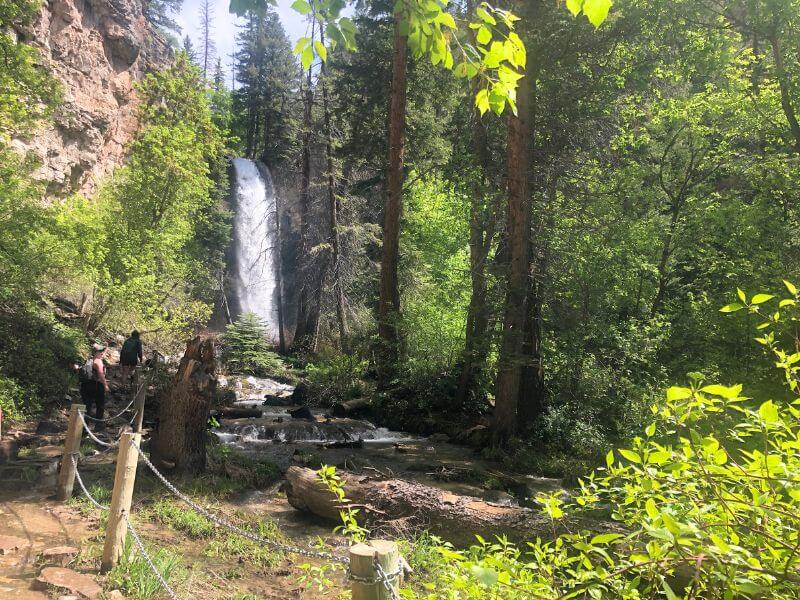 Waterfall amid a forest of trees 