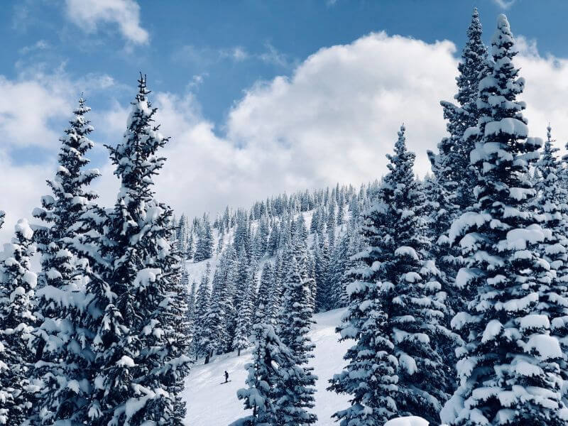 snow covered mountain with evergreens, ski area at Steamboat